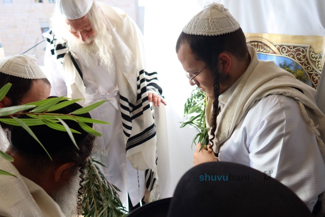 הושענא רבה תשפ"ה