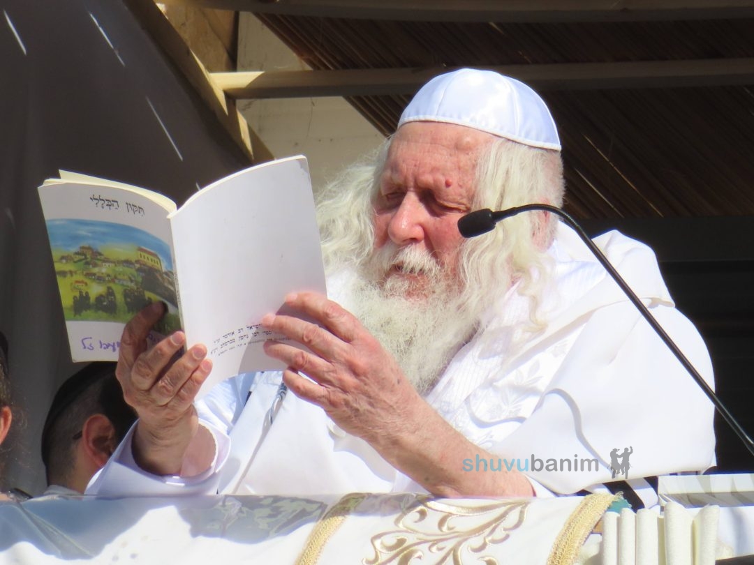 הושענא רבה תשפה